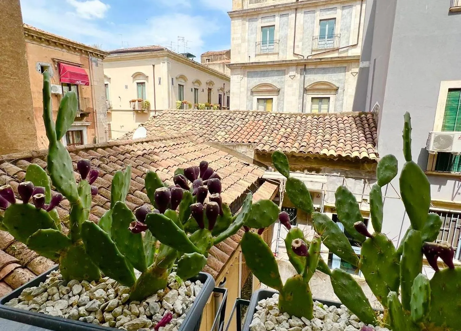 Erasmo 19 Luxury Home Catania 0*,  Italy